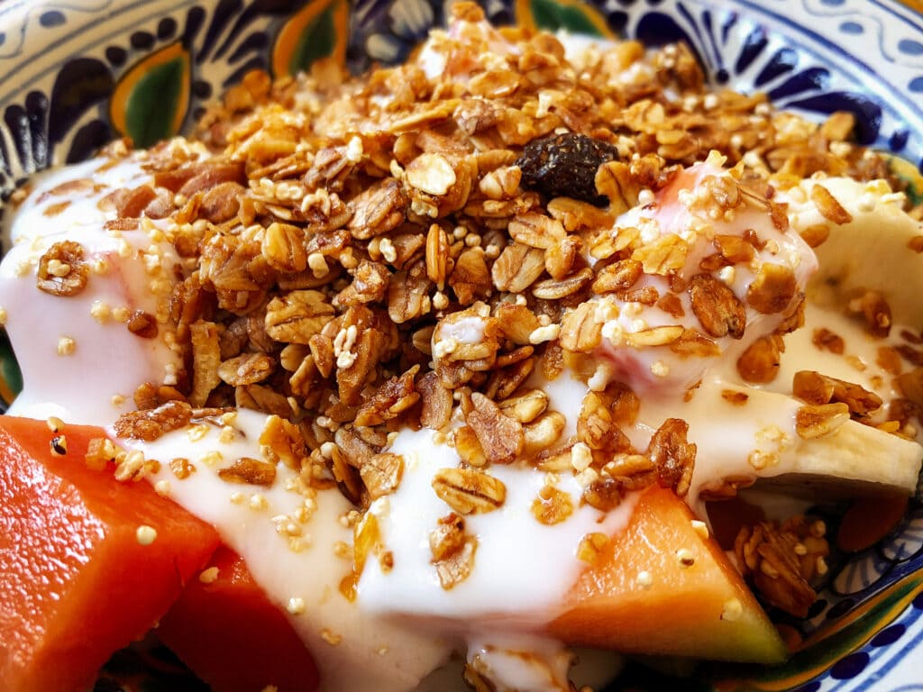 close-up view of fruit bowl with granola